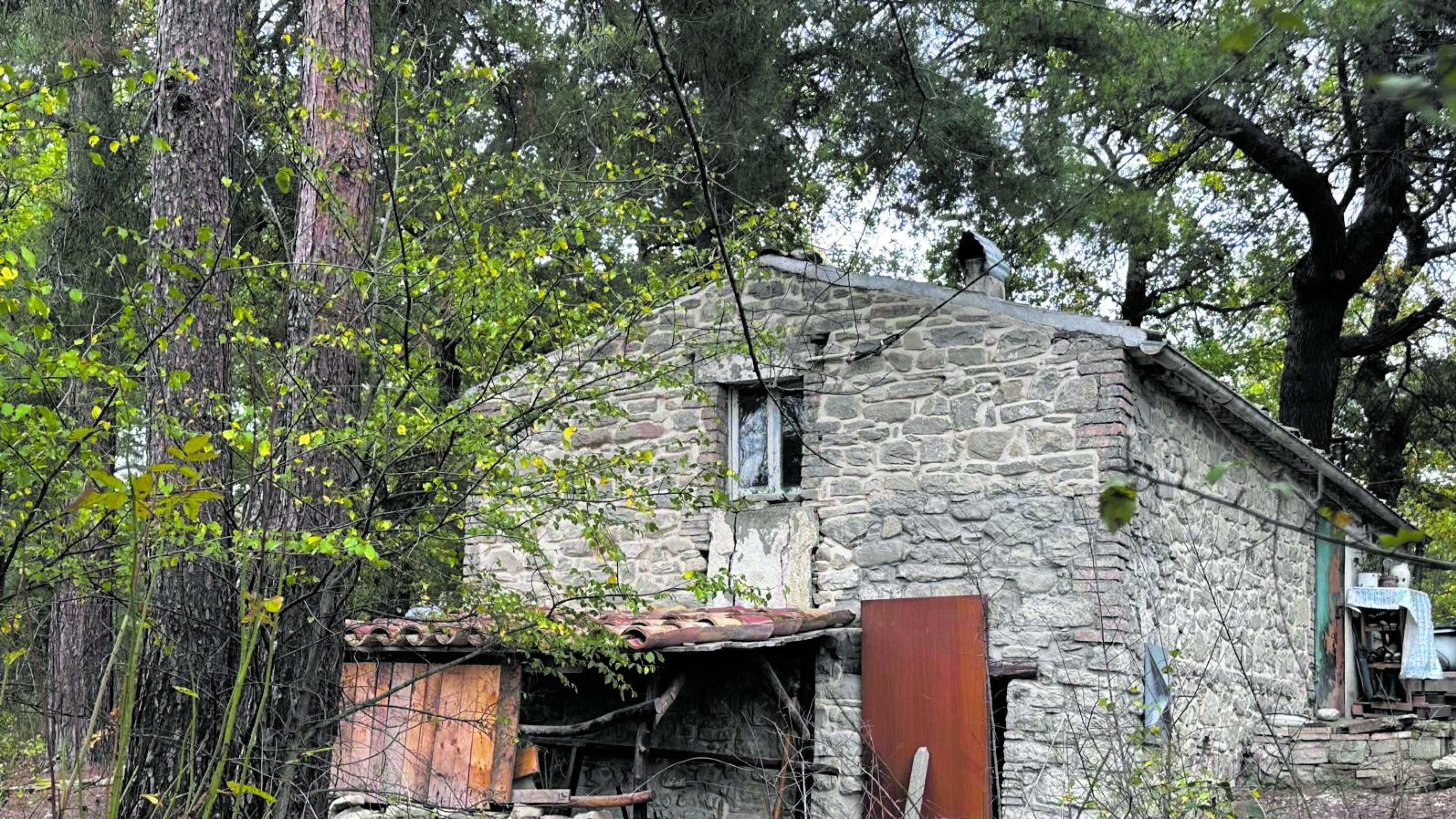 La casa nel bosco punita da leggi eccessive