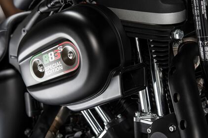 Harley-Davidson Iron 883 Special Edition S 9