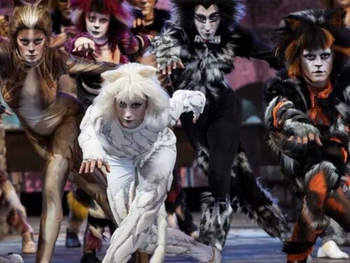 Il musical "Cats" continua a graffiare