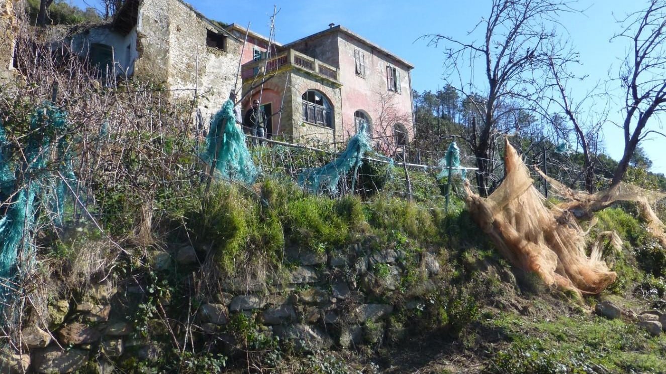 A passeggio tra ville e antiche creuze