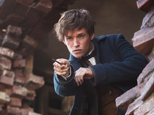 Animali Fantastici, dove ha sbagliato la saga spinoff di Harry Potter?