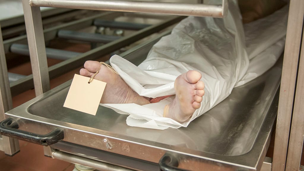 Parigi, bufera su un centro-donazione organi: "Cadaveri lasciati imputridire e divorare dai topi"