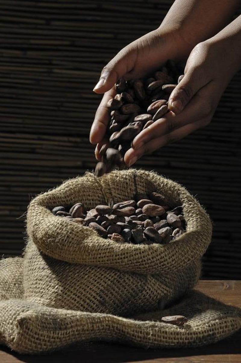 Fave di cacao