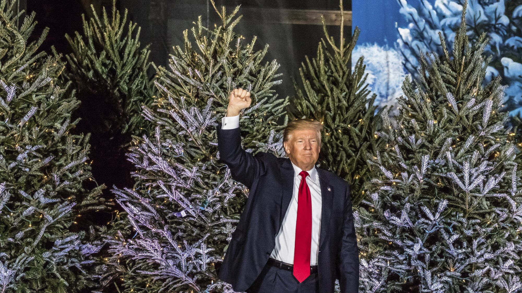 "Distribuiremo e fumeremo 4200 canne alla cerimonia di Donald Trump"