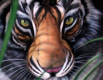Johannes Stötter, il campione di body painting 11