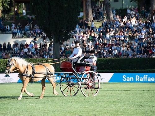 Gran Premio Roma a Mansur. Percorso netto sull'Ovale