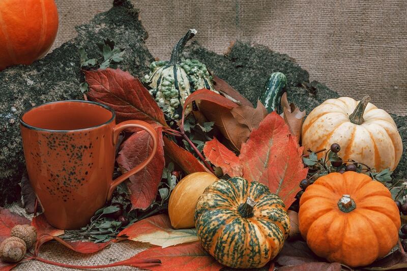 varietà di zucca