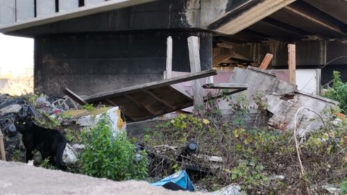 Studenti intossicati dai roghi di rifiuti, una discarica vicino alla scuola 5