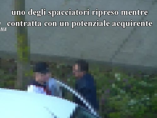 Smantellata organizzazione dedita allo spaccio di droga