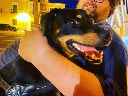 Adinolfi prende zero voti a Ventotene: "Non mi ha votato manco il mio cane"