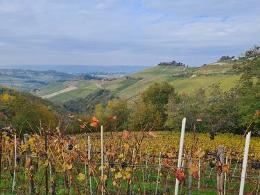 Langhe e Roero, le terre del Barolo e del Barbaresco 5