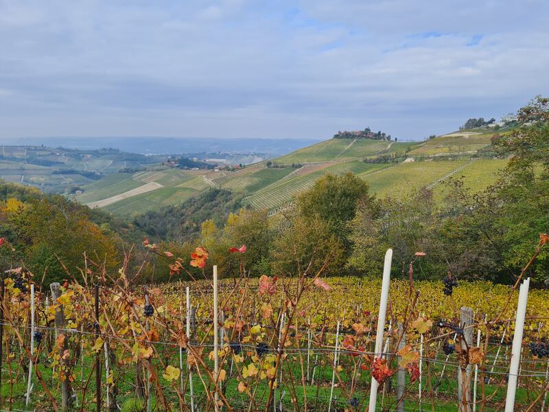Langhe e Roero, le terre del Barolo e del Barbaresco 5