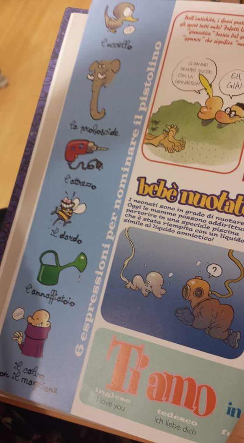 Il libro choc per bimbi: "Metti il dito nel buco della donna" 6