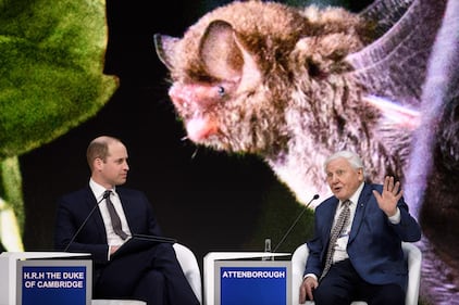 Il Principe William al World Economic Forum 6