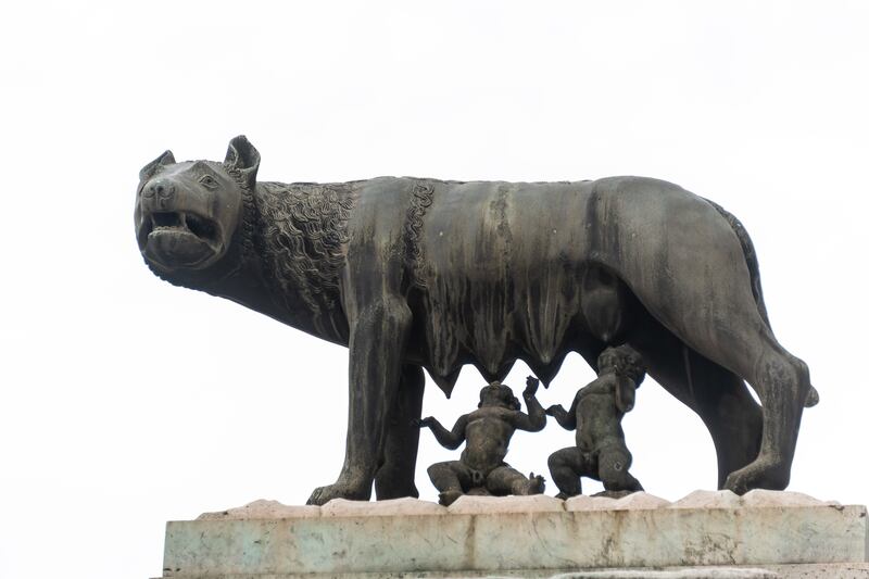 Romolo, Remo e la Lupa