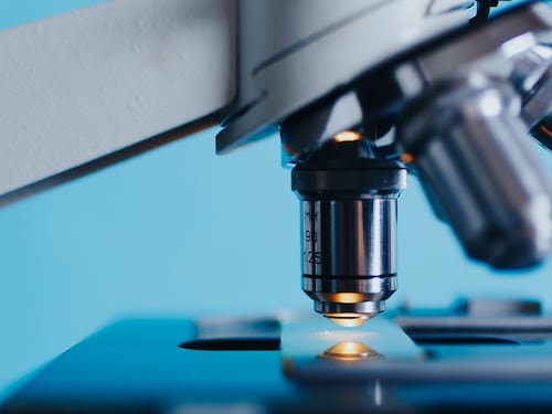 L'effetto vuoto degli scienziati