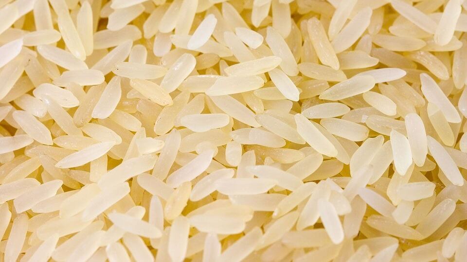 Mangiano riso durante la cerimonia: 11 persone perdono la vita