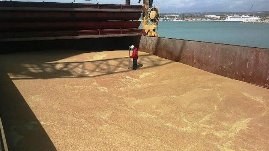 Russia blocca l'export del grano: l'allarme della Fao e il fabbisogno italiano