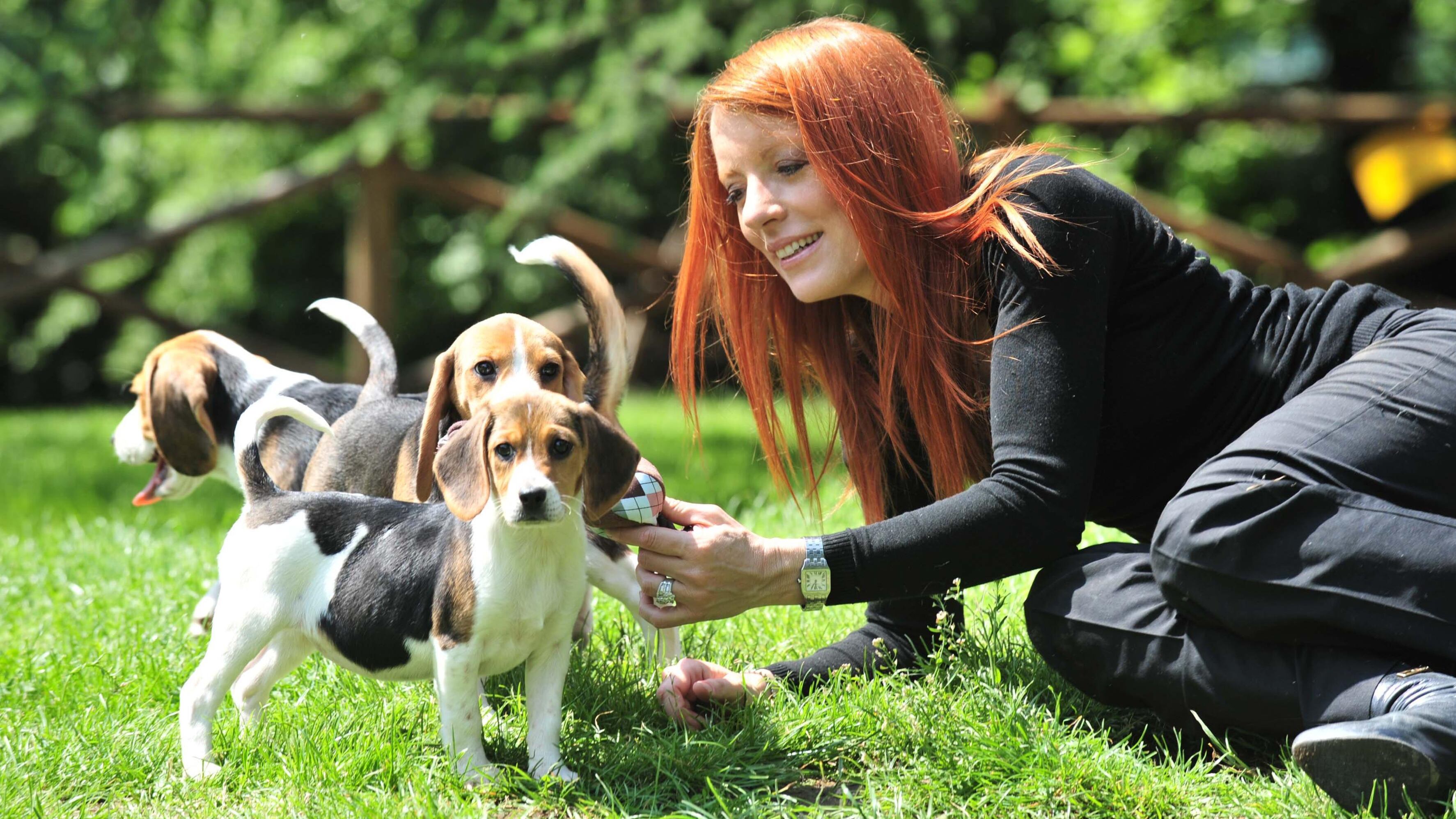 Basta con le torture ai cani Sequestrato il lager Green Hill