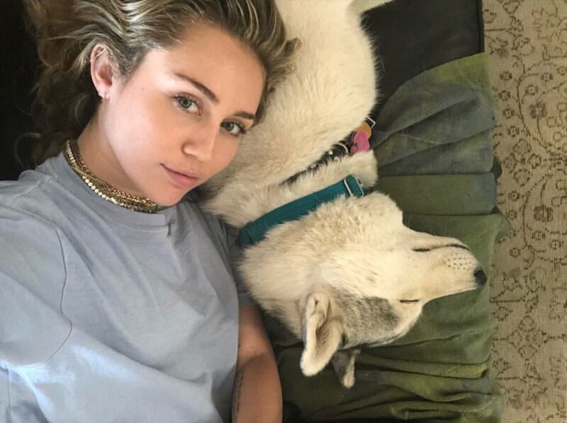 Miley Cyrus, le foto della cantante 4
