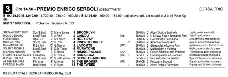 serboli 2023