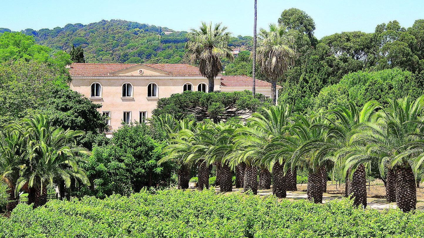 Macchia mediterranea con vista: Saint-Tropez e la sua dolce vita