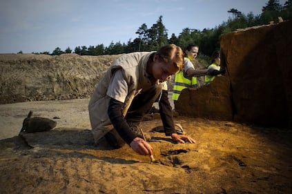 Germania, scoperte impronte giganti di dinosauro 5