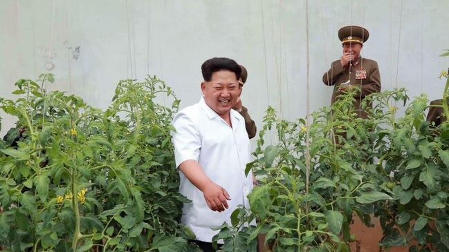 In Corea del Nord nasce "l'ora di Pyongyang"