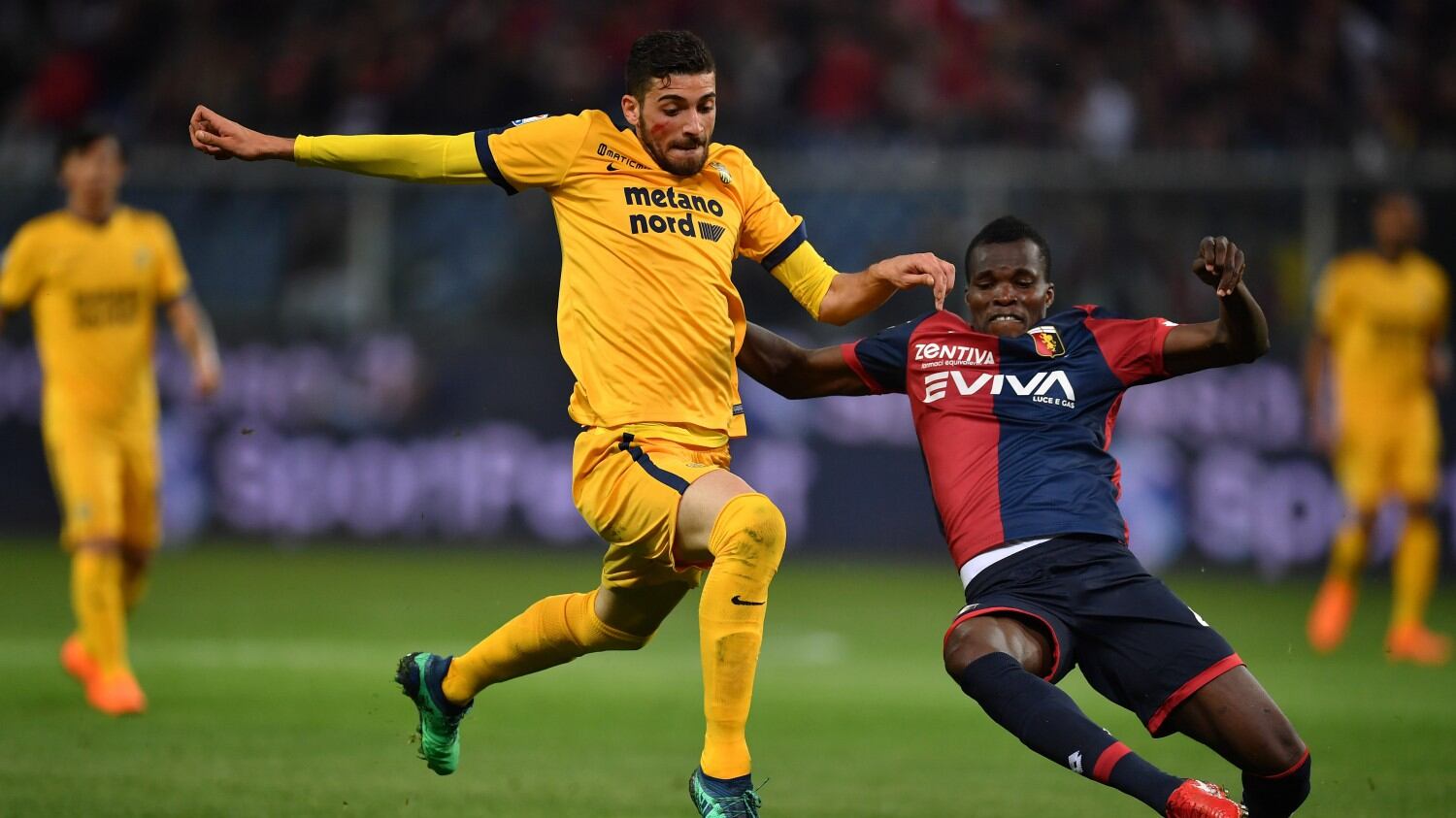 Il Genoa manda al tappeto il Verona: a Marassi finisce 3-1