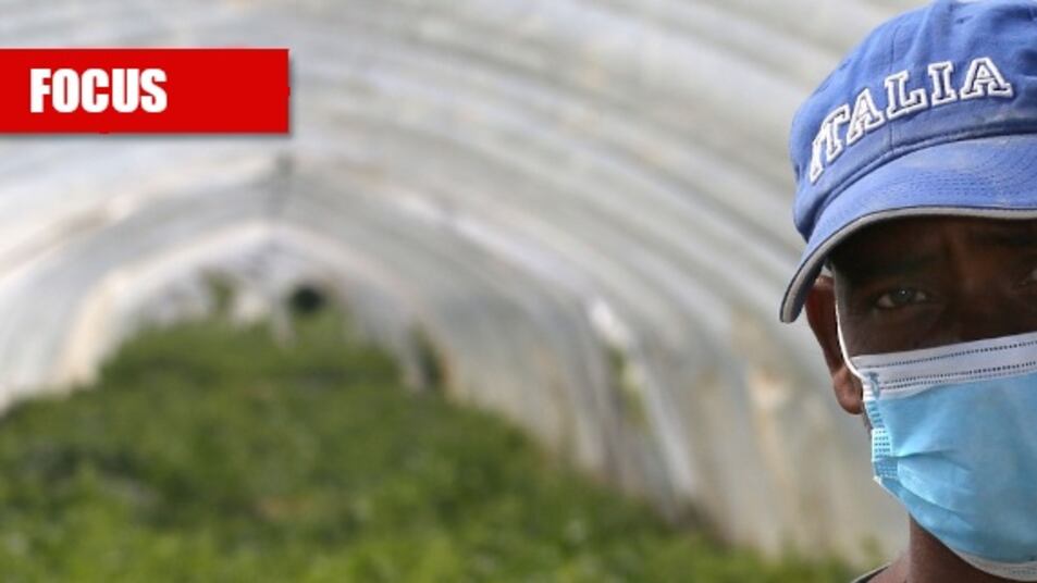 La Bellanova piange per i migranti. Ma loro snobbano la sanatoria