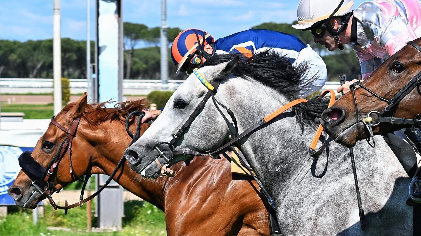 Primo maggio a Capannelle, Premio Parioli e Regina Elena. Sean domina la prima corsa di gruppo in Italia