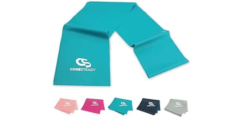 Fascia elastica