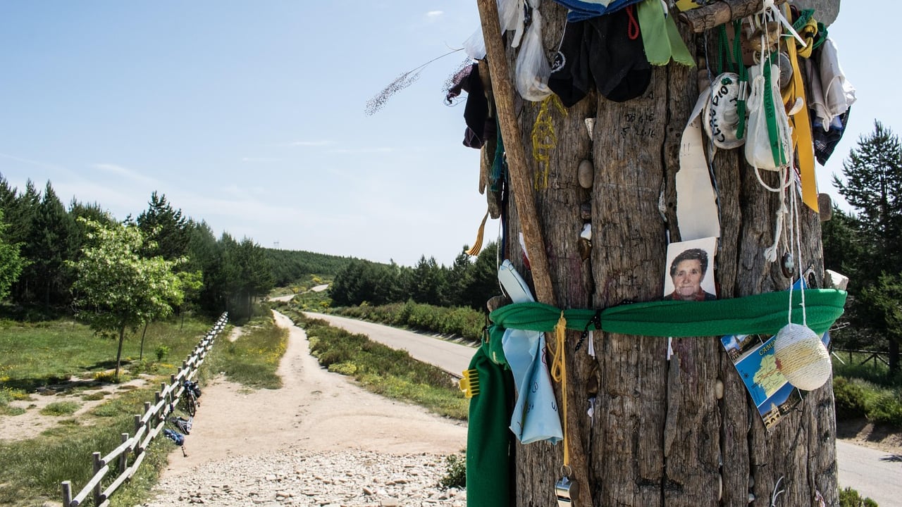 Dal Cammino di Santiago a una storia di rinascita