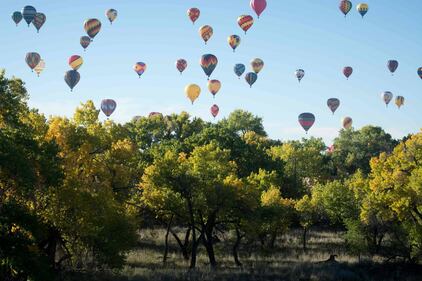Le stravaganti mongolfiere di Albuquerque 3