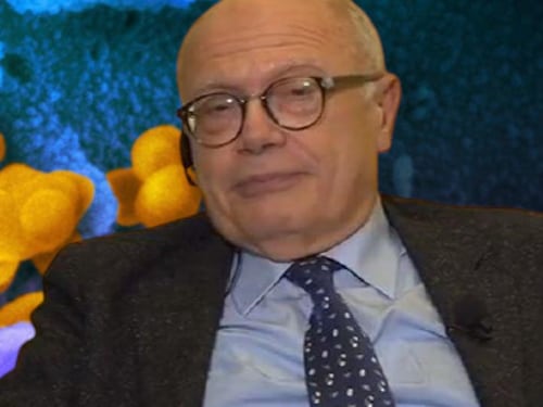 "Niente elezioni", "È la democrazia". È scontro tra virologi sul voto