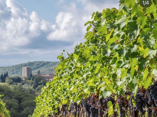 Tenuta Perano, le vibrazioni del Chianti Classico