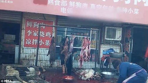 Cina, il macello degli orrori 3