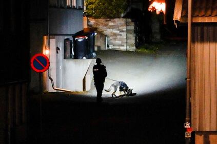 Strage in Norvegia dove 5 persone sono morte e due sono rimaste ferite 6