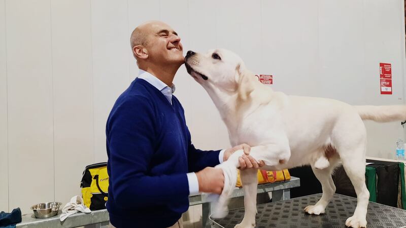 Fiera Milano cani sfilano a Enci Winner