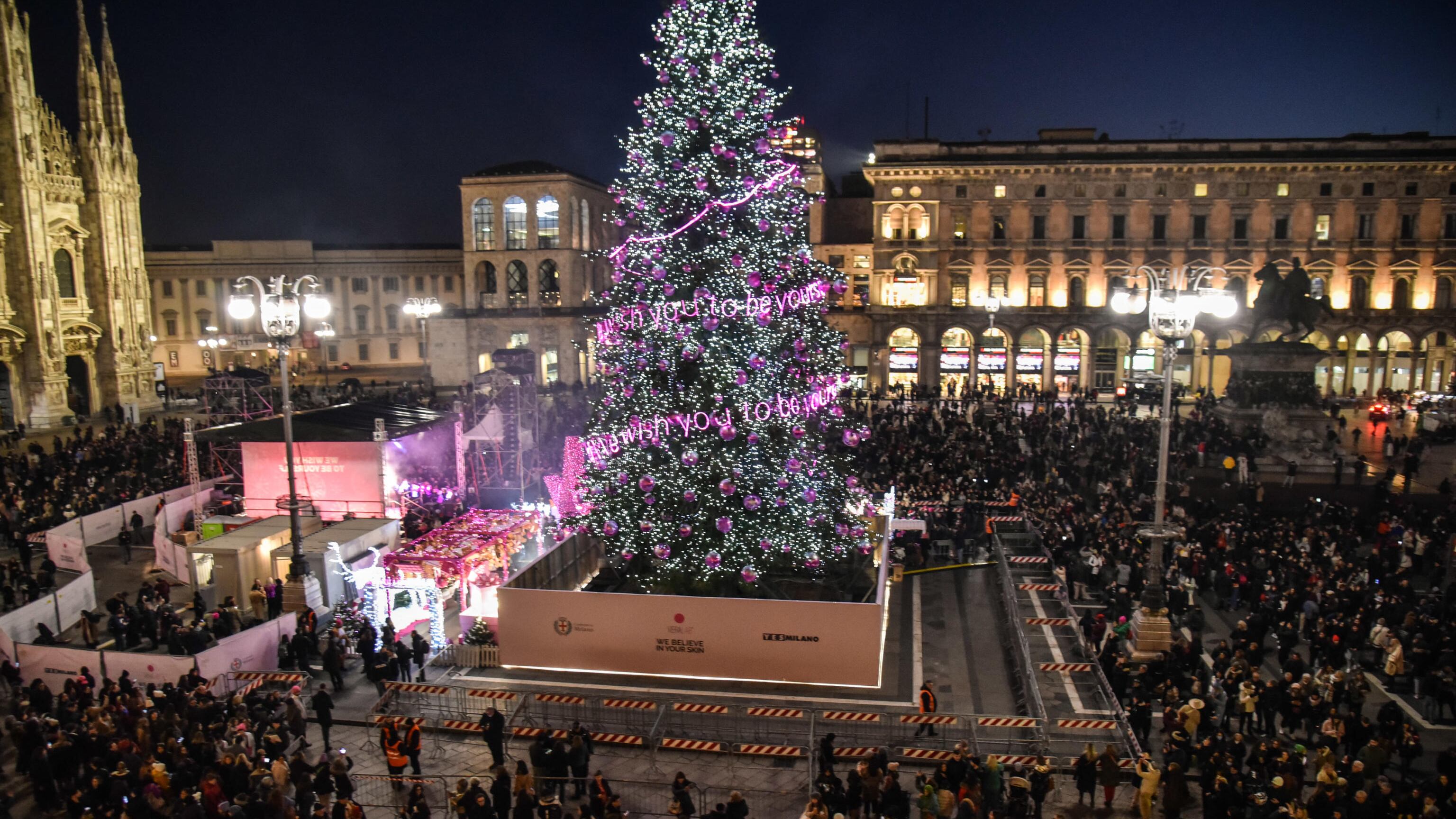 "È costato troppo". È polemica sull'abete rosa di Milano