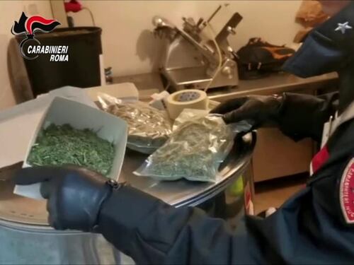 Roma, scoperta piantagione di marijuana a due passi da Villa Adriana