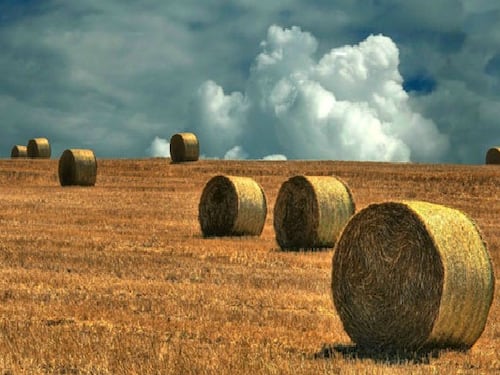 I cinesi si prendono le nostre terre