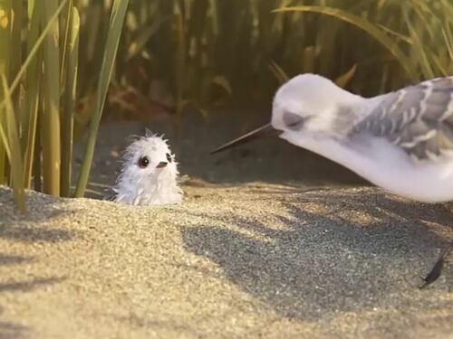 Piper, il nuovo corto della Pixar aiuta a sconfiggere le paure