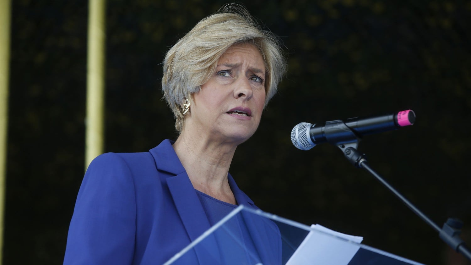 Bandiera del Reich, Pinotti minacciata dai neonazisti: "Pronta a querelare"