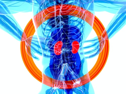 Caldo estivo, ecco come proteggere al meglio la salute dei reni