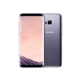 Il Samsung Galaxy S8+ 1