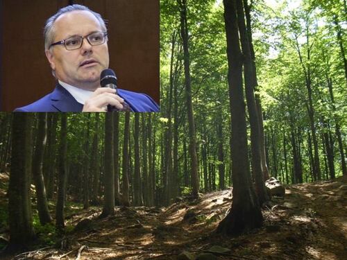 Federlegno: valorizzare l'utilizzo a cascata del legno