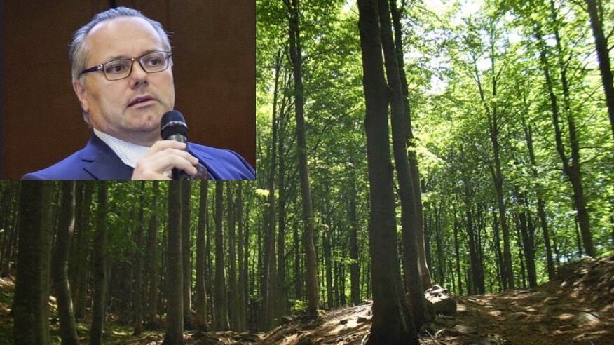 Federlegno: valorizzare l'utilizzo a cascata del legno