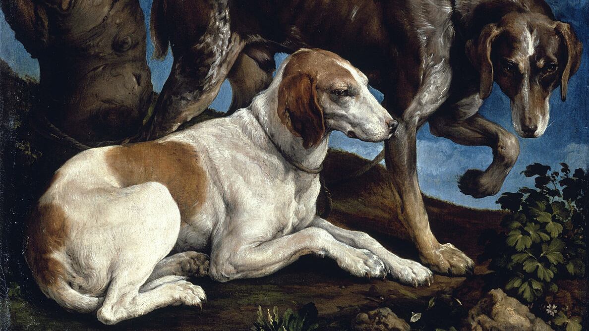 Amore e fedeltà: elogio del cane