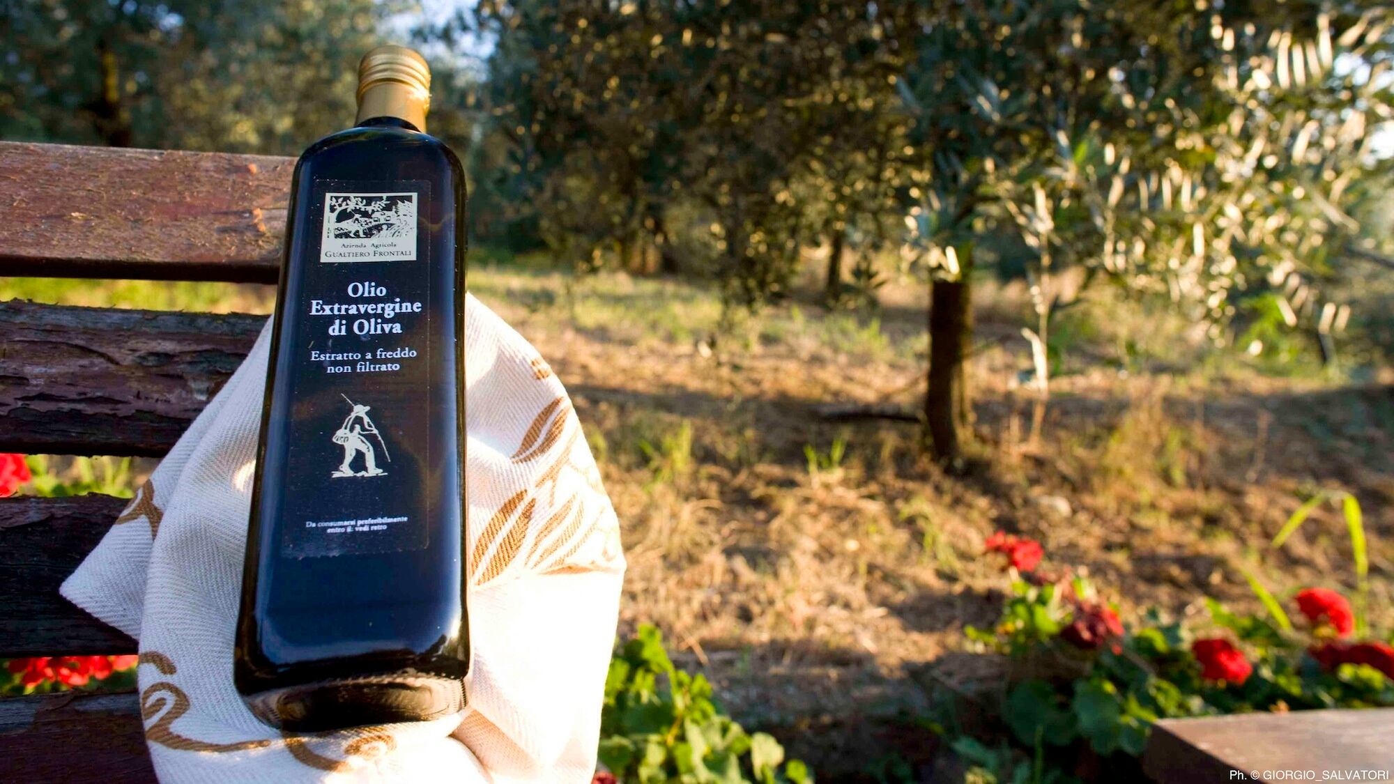 Brisighella e Coriano: la sfida dell'olio extravergine